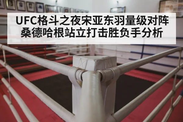 UFC格斗之夜宋亚东羽量级对阵桑德哈根站立打击胜负手分析 - kaiyun app